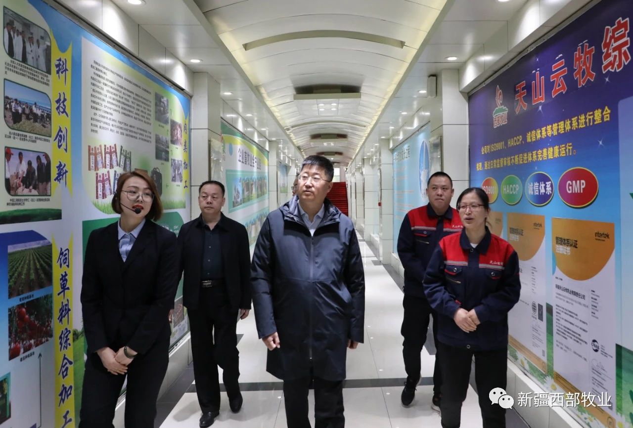 八師石河子市黨委常委、八師副師長趙日強到天山云牧公司調研